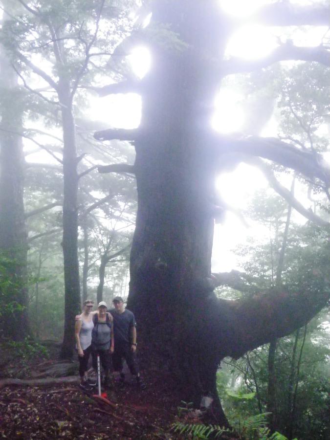 타나베 Kumano Backpackers 호스텔 외부 사진